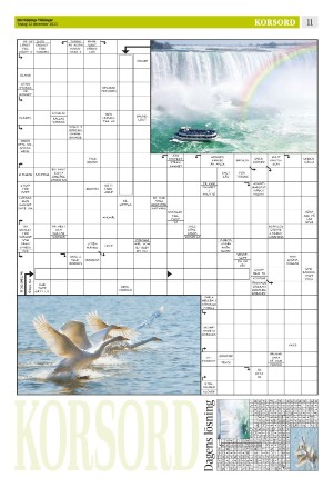 norrkopingstidningar_sek_b-20231212_000_00_00_011.pdf