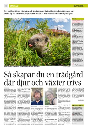 norrkopingstidningar_sek_b-20240227_000_00_00_008.pdf