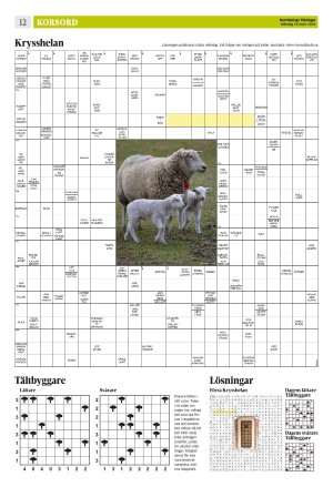 norrkopingstidningar_sek_b-20240318_000_00_00_012.pdf