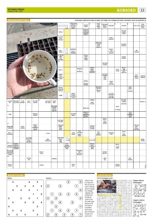 norrkopingstidningar_sek_b-20240430_000_00_00_013.pdf