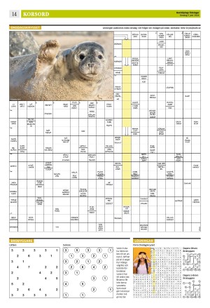 norrkopingstidningar_sek_b-20240605_000_00_00_014.pdf