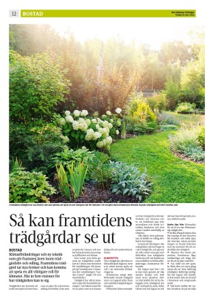 norrkopingstidningar_sek_b-20240618_000_00_00_012.pdf
