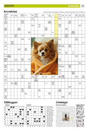 norrkopingstidningar_sek_b-20240624_000_00_00_011.pdf