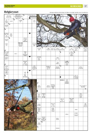 norrkopingstidningar_sek_b-20240720_000_00_00_017.pdf