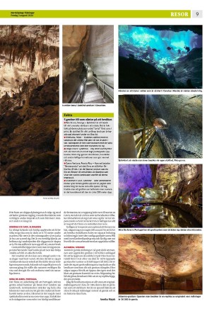 norrkopingstidningar_sek_b-20240802_000_00_00_009.pdf