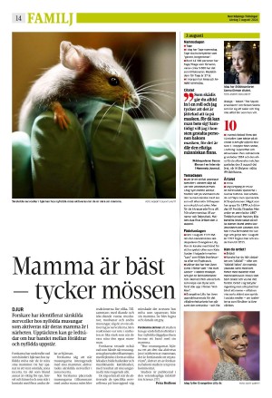 norrkopingstidningar_sek_b-20240803_000_00_00_014.pdf