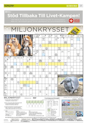 norrkopingstidningar_sek_b-20240806_000_00_00_007.pdf