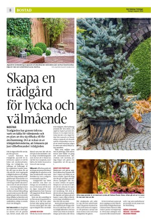 norrkopingstidningar_sek_b-20240806_000_00_00_008.pdf
