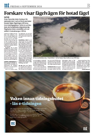norrkopingstidningar_sek_b-20240906_000_00_00_016.pdf