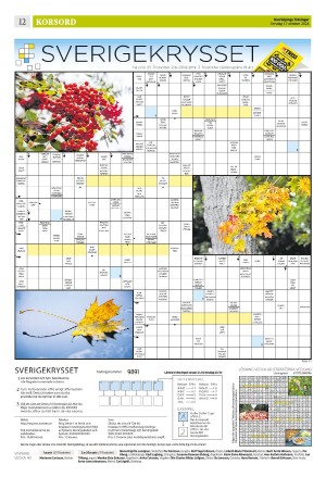 norrkopingstidningar_sek_b-20241017_000_00_00_012.pdf