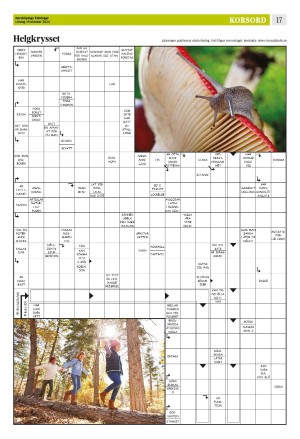 norrkopingstidningar_sek_b-20241019_000_00_00_017.pdf