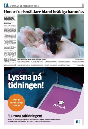 norrkopingstidningar_sek_b-20241021_000_00_00_020.pdf