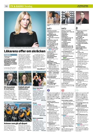 norrkopingstidningar_sek_b-20241024_000_00_00_014.pdf