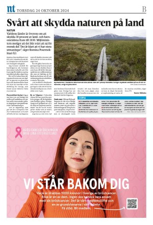 norrkopingstidningar_sek_b-20241024_000_00_00_016.pdf