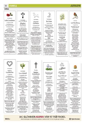 norrkopingstidningar_sek_b-20241109_000_00_00_016.pdf