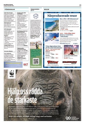 norrkopingstidningar_sek_b-20241109_000_00_00_019.pdf