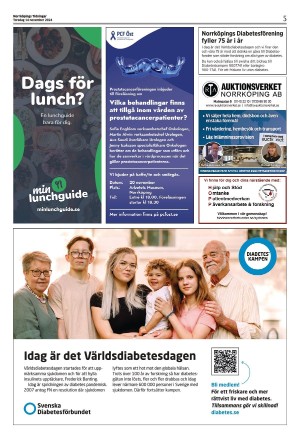 norrkopingstidningar_sek_b-20241114_000_00_00_005.pdf