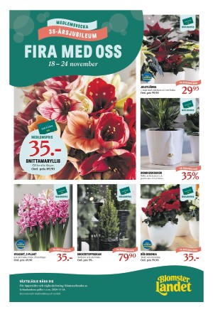 norrkopingstidningar_sek_b-20241121_000_00_00_005.pdf