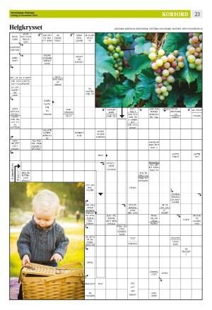 norrkopingstidningar_sek_b-20241123_000_00_00_023.pdf