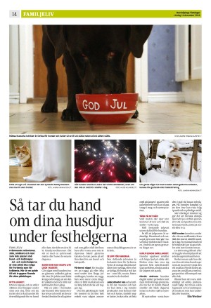 norrkopingstidningar_sek_b-20241214_000_00_00_014.pdf