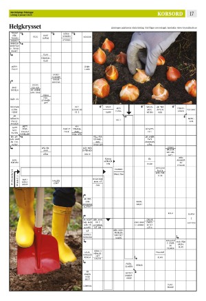 norrkopingstidningar_sek_b-20250104_000_00_00_017.pdf