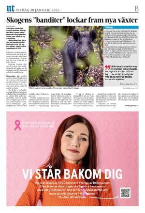 norrkopingstidningar_sek_b-20250128_000_00_00_016.pdf