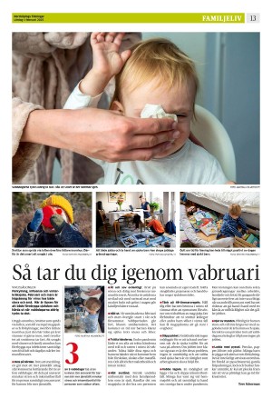 norrkopingstidningar_sek_b-20250201_000_00_00_013.pdf