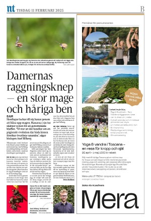 norrkopingstidningar_sek_b-20250211_000_00_00_016.pdf