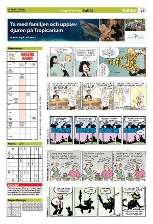 norrkopingstidningar_sek_b-20250215_000_00_00_023.pdf