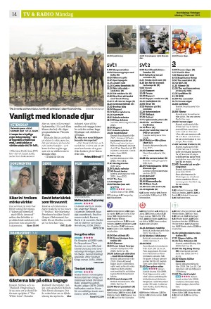 norrkopingstidningar_sek_b-20250217_000_00_00_014.pdf