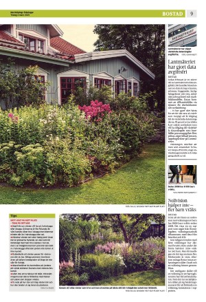 norrkopingstidningar_sek_b-20250304_000_00_00_009.pdf