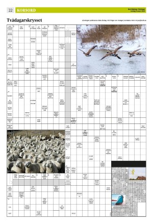 norrkopingstidningar_sek_b-20250308_000_00_00_022.pdf