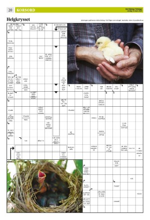 norrkopingstidningar_sek_b-20250322_000_00_00_020.pdf