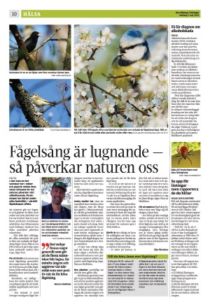 norrkopingstidningar_sek_b-20250505_000_00_00_010.pdf