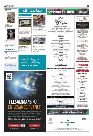 norrkopingstidningar_sek_b-20250505_000_00_00_011.pdf