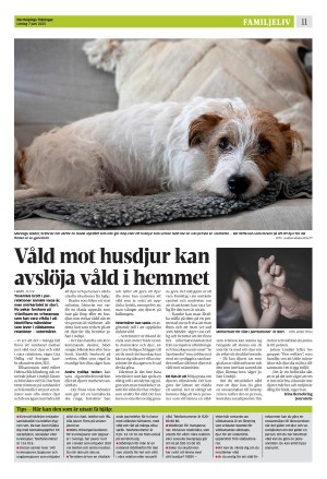 norrkopingstidningar_sek_b-20250607_000_00_00_011.pdf