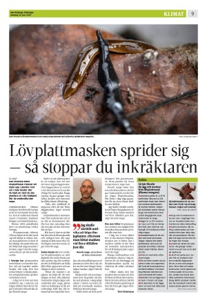 norrkopingstidningar_sek_b-20250616_000_00_00_009.pdf