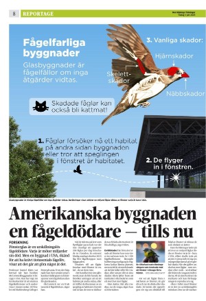 norrkopingstidningar_sek_b-20250701_000_00_00_008.pdf
