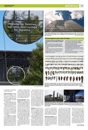 norrkopingstidningar_sek_b-20250701_000_00_00_009.pdf