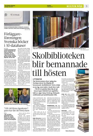 norrkopingstidningar_sek_b-20250702_000_00_00_005.pdf
