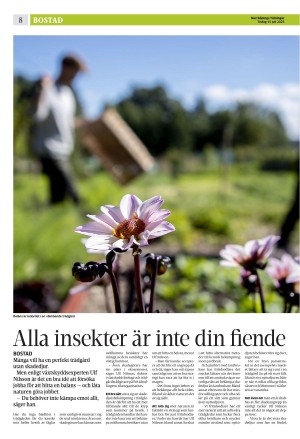 norrkopingstidningar_sek_b-20250715_000_00_00_008.pdf