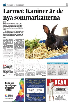 norrkopingstidningar_sek_b-20250729_000_00_00_016.pdf
