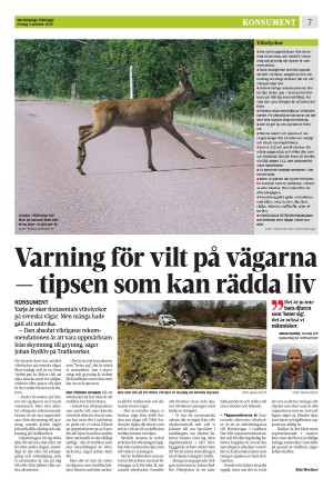 norrkopingstidningar_sek_b-20251003_000_00_00_007.pdf