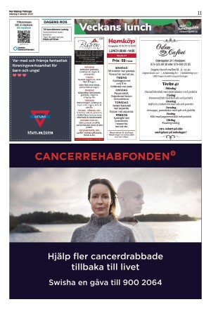 norrkopingstidningar_sek_b-20251006_000_00_00_011.pdf