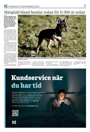norrkopingstidningar_sek_b-20251119_000_00_00_016.pdf
