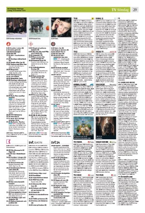 norrkopingstidningar_sek_b-20251129_000_00_00_029.pdf