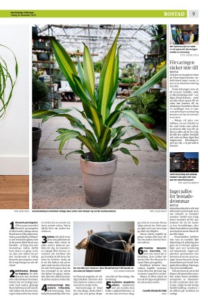 norrkopingstidningar_sek_b-20251216_000_00_00_009.pdf