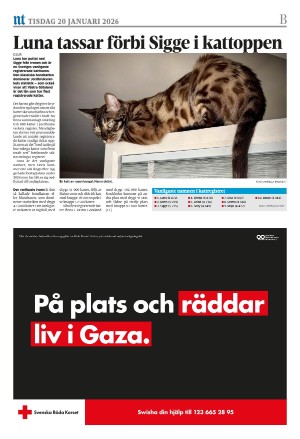 norrkopingstidningar_sek_b-20260120_000_00_00_012.pdf
