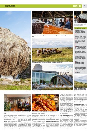 norrkopingstidningar_sek_b-20260213_000_00_00_009.pdf