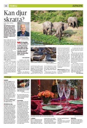 norrkopingstidningar_sek_b-20260214_000_00_00_014.pdf